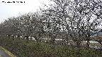 ochiai1-20250408145016.jpg