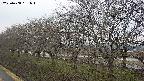 ochiai1-20250408151015.jpg