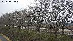 ochiai1-20250408152016.jpg
