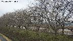 ochiai1-20250408154017.jpg