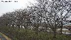 ochiai1-20250408161015.jpg