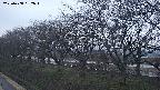 ochiai1-20250408182017.jpg