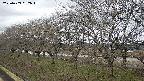 ochiai1-20250409092017.jpg