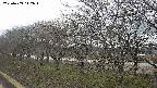 ochiai1-20250409112017.jpg