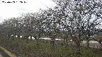ochiai1-20250409132018.jpg