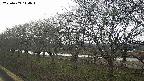 ochiai1-20250409144017.jpg