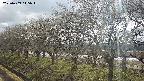 ochiai1-20250409145017.jpg