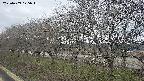 ochiai1-20250409175016.jpg