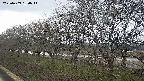 ochiai1-20250409180016.jpg