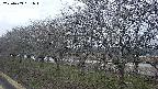 ochiai1-20250409181018.jpg
