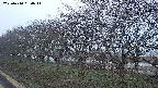 ochiai1-20250410050016.jpg