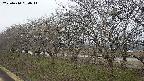 ochiai1-20250410090016.jpg