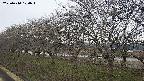 ochiai1-20250410100017.jpg