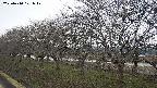 ochiai1-20250410101018.jpg