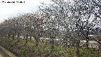 ochiai1-20250410140017.jpg