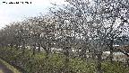 ochiai1-20250410142017.jpg