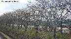 ochiai1-20250410143018.jpg