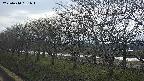 ochiai1-20250410151019.jpg