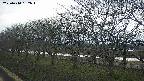 ochiai1-20250410152017.jpg