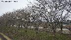 ochiai1-20250410165016.jpg