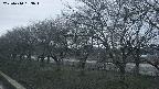 ochiai1-20250410183017.jpg