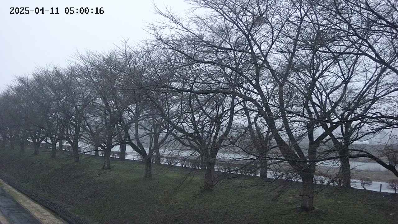 ochiai1-20250411050017.jpg