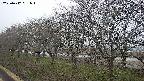 ochiai1-20250412051017.jpg