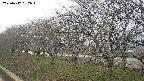 ochiai1-20250412082017.jpg