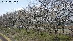 ochiai1-20250412105016.jpg