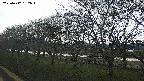 ochiai1-20250412152017.jpg