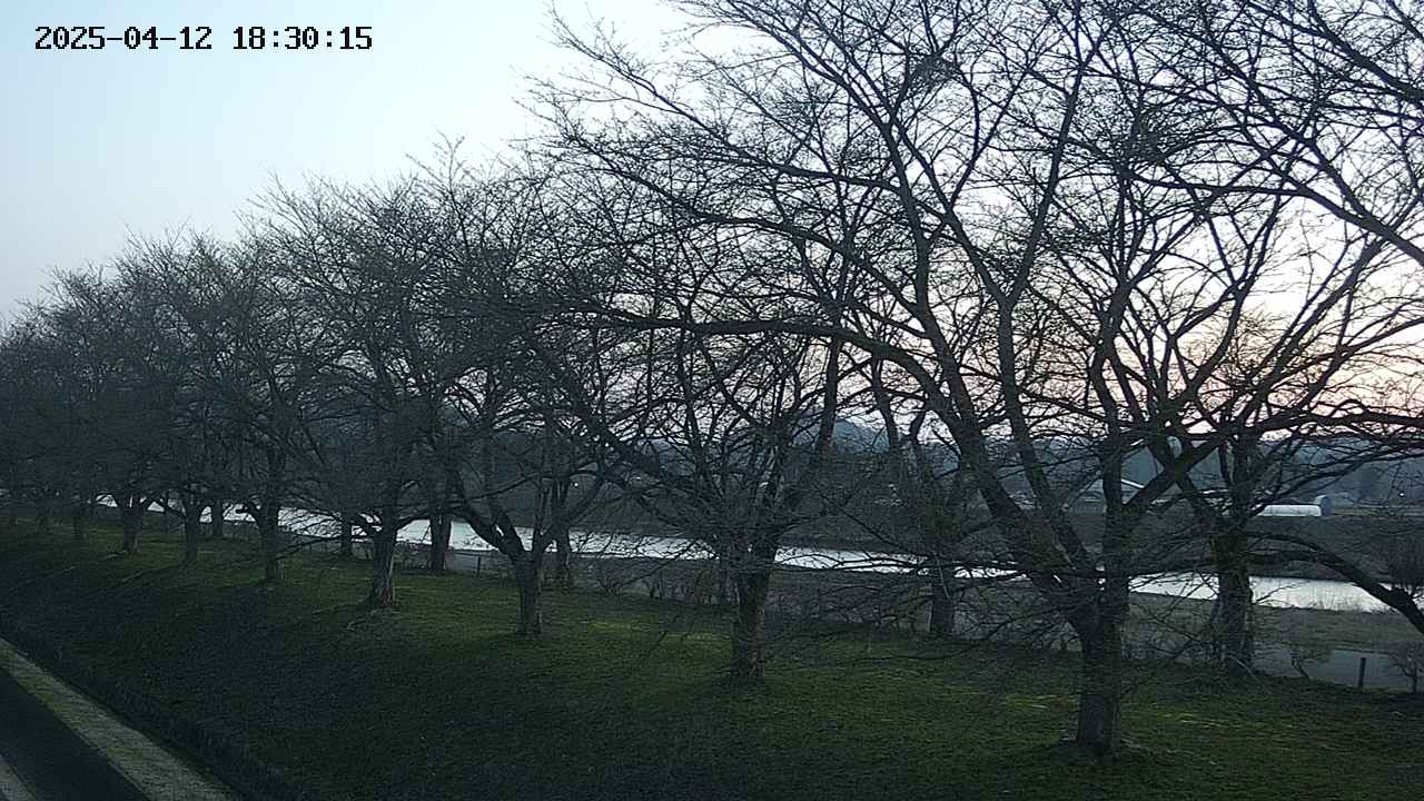 ochiai1-20250412183017.jpg