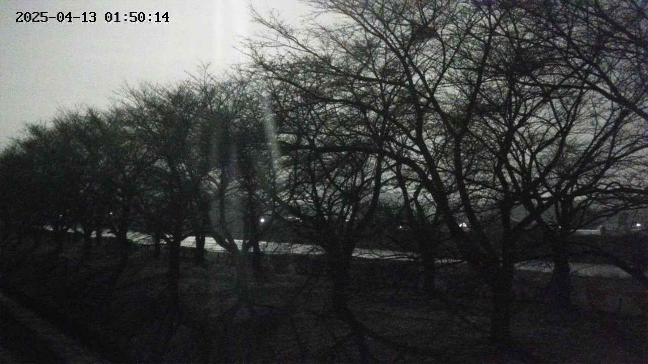 ochiai1-20250413015016.jpg