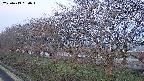 ochiai1-20250413050018.jpg