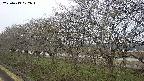 ochiai1-20250413072018.jpg