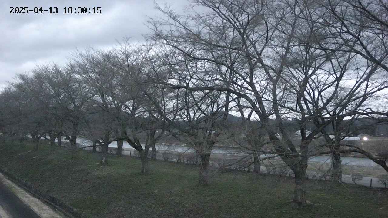 ochiai1-20250413183016.jpg