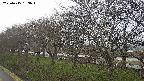 ochiai1-20250415133017.jpg