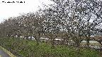 ochiai1-20250415140017.jpg