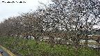 ochiai1-20250415170019.jpg