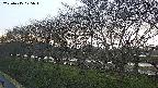 ochiai1-20250415175017.jpg