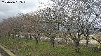 ochiai1-20250416092016.jpg