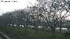 ochiai1-20250416175017.jpg