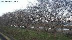 ochiai1-20250417052017.jpg