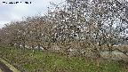 ochiai1-20250417063015.jpg