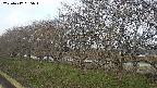 ochiai1-20250417065017.jpg
