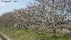 ochiai1-20250417092016.jpg