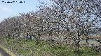 ochiai1-20250417094018.jpg