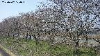 ochiai1-20250417100017.jpg