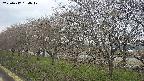 ochiai1-20250417134018.jpg