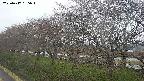 ochiai1-20250417165017.jpg