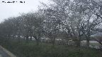 ochiai1-20250417183016.jpg
